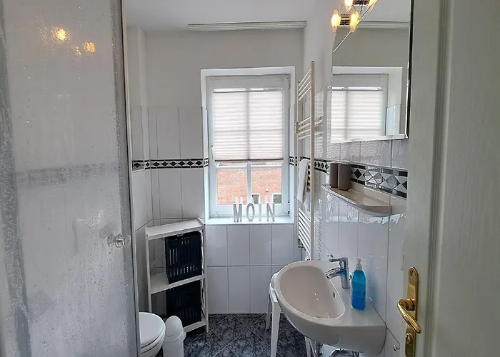 Austernfischer Dagebüll