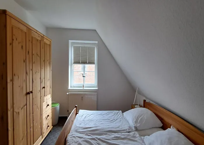 Austernfischer Dagebüll