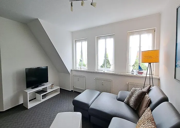 Austernfischer Dagebüll