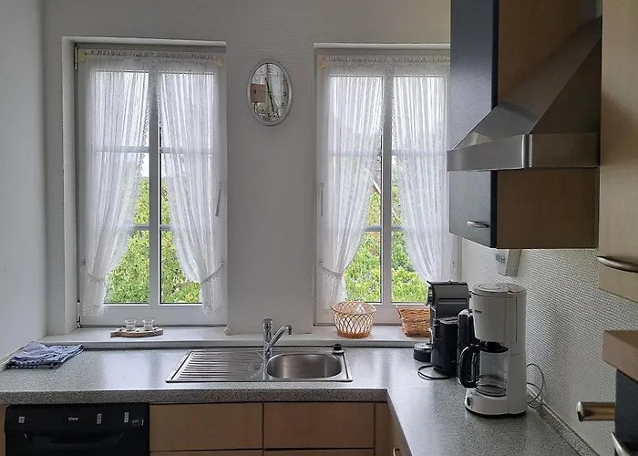 Austernfischer Dagebüll