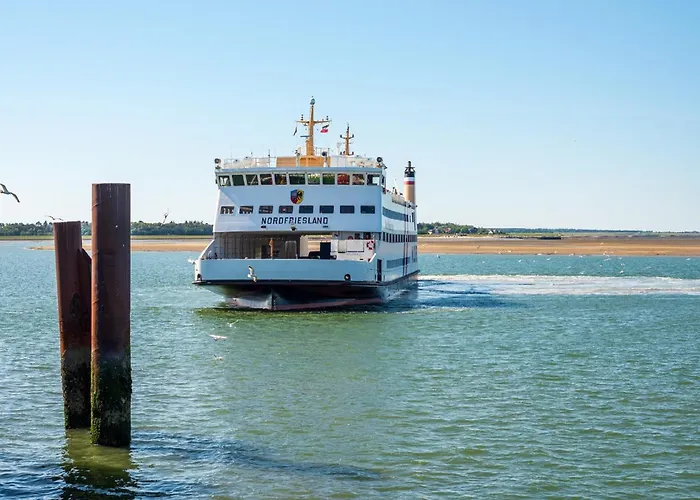 Austernfischer Apartamento *