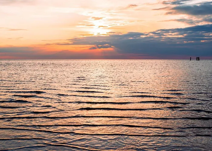 Austernfischer Apartamento Dagebüll