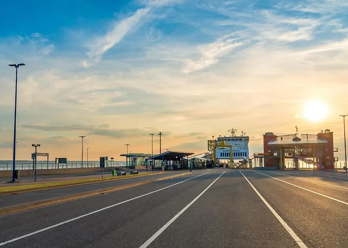 Austernfischer Dagebüll